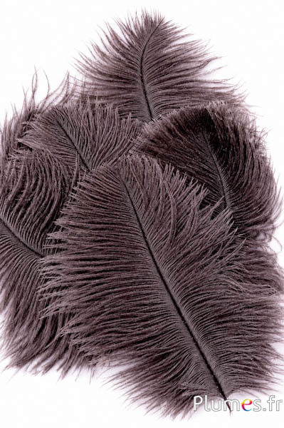 Strauss - 13-18 cm - natur
